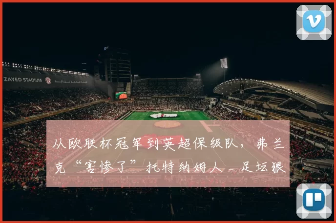 从欧联杯冠军到英超保级队，弗兰克“害惨了”托特纳姆人 _ 足坛狠人