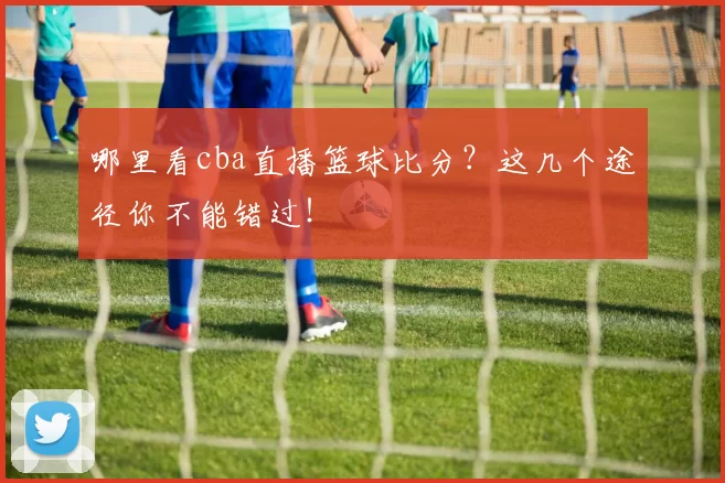 哪里看cba直播篮球比分？这几个途径你不能错过！