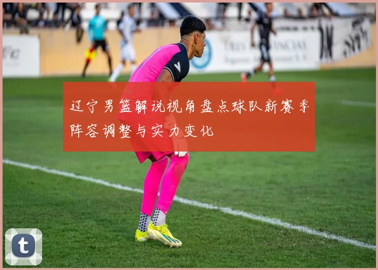辽宁男篮解说视角盘点球队新赛季阵容调整与实力变化