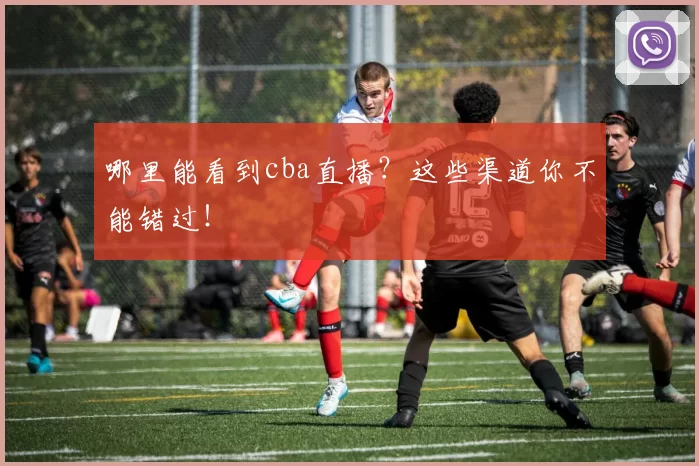 哪里能看到cba直播？这些渠道你不能错过！