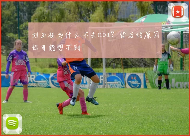 刘玉栋为什么不去nba?背后的原因你可能想不到!