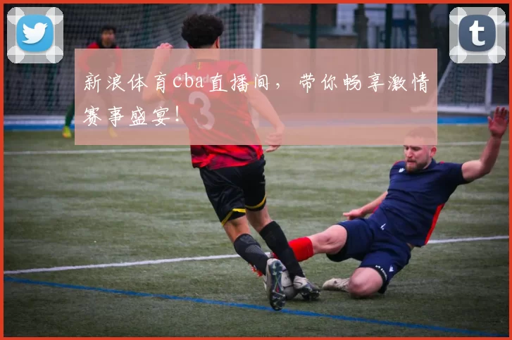 新浪体育cba直播间，带你畅享激情赛事盛宴！