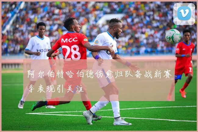 阿尔伯特哈伯德伤愈归队备战新赛季表现引关注
