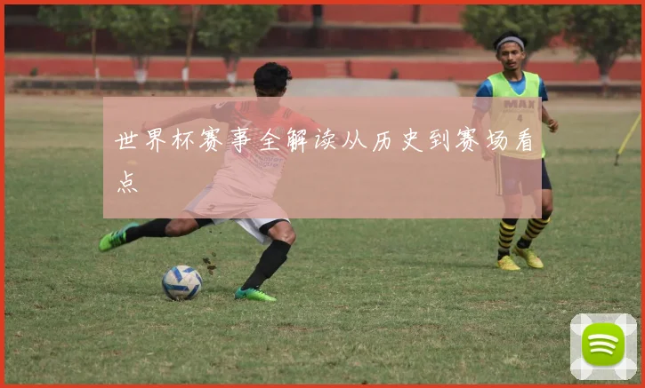 世界杯赛事全解读从历史到赛场看点